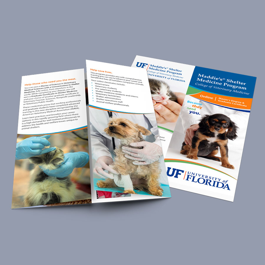 Shelter Medicine flyer