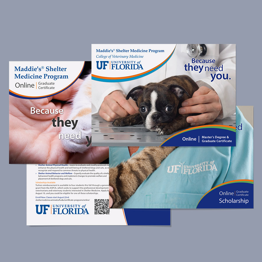 Shelter Medicine postcards