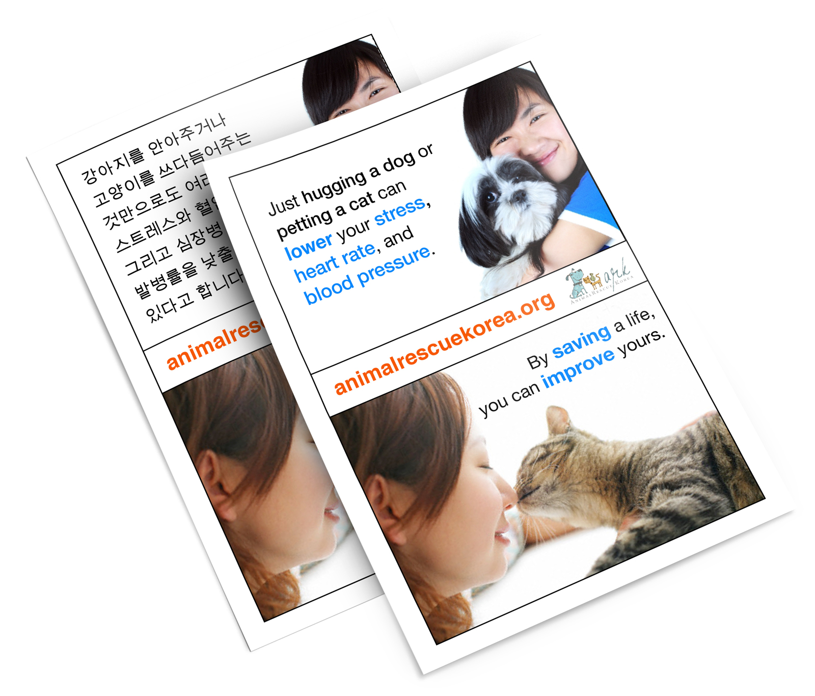 Animal Rescue Korea flyer