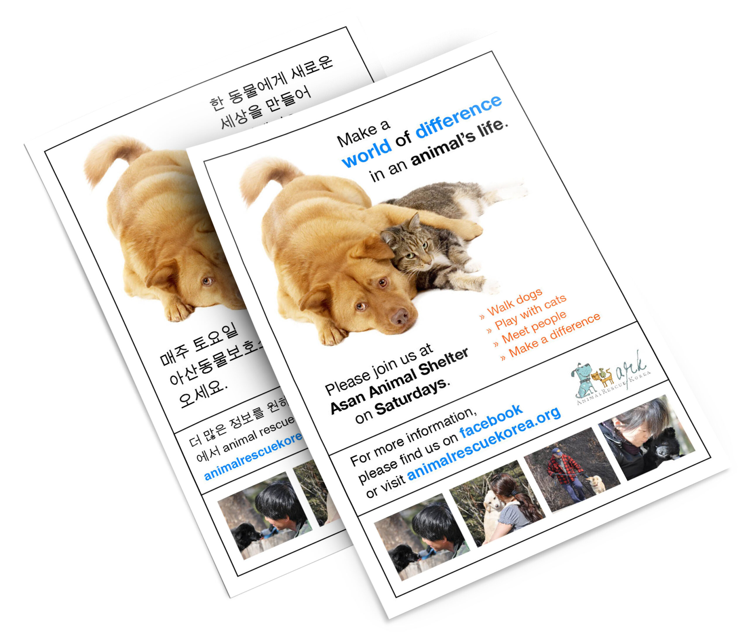 Animal Rescue Korea flyer