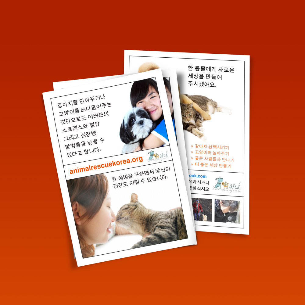 Animal Rescue Korea flyers