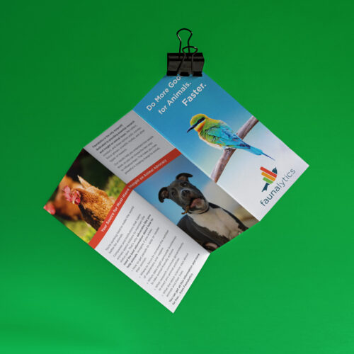 Faunalytics flyer